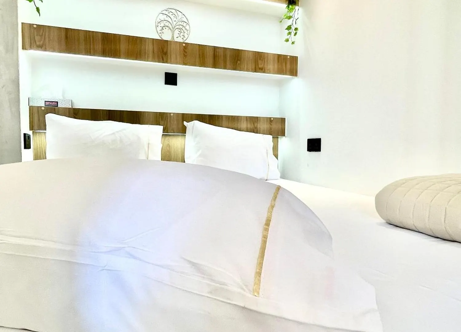 Apartmán Suitenapa22 Ayia Napa Kypr